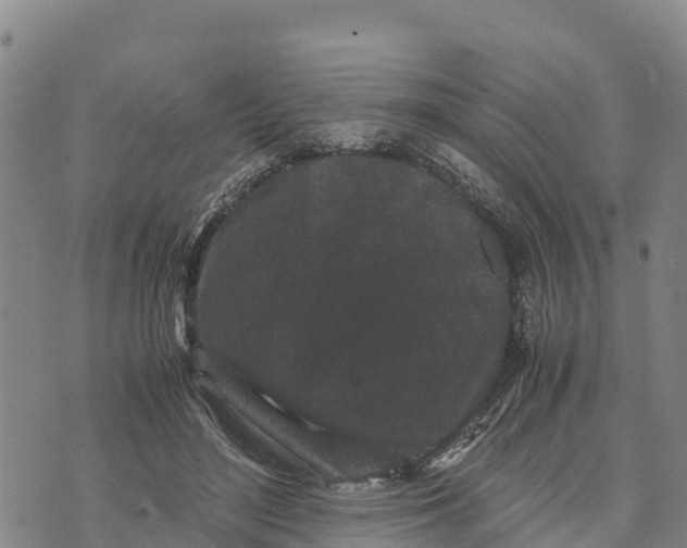 X0000072530500200608041601