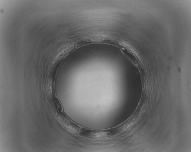 X0000072530501200608041600