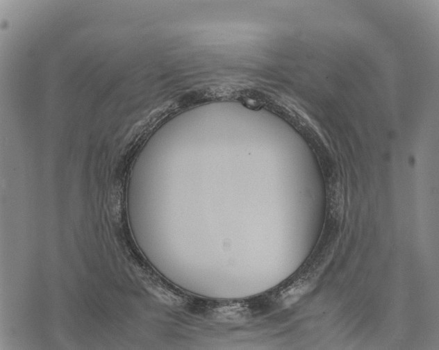 X0000072530505200608041600