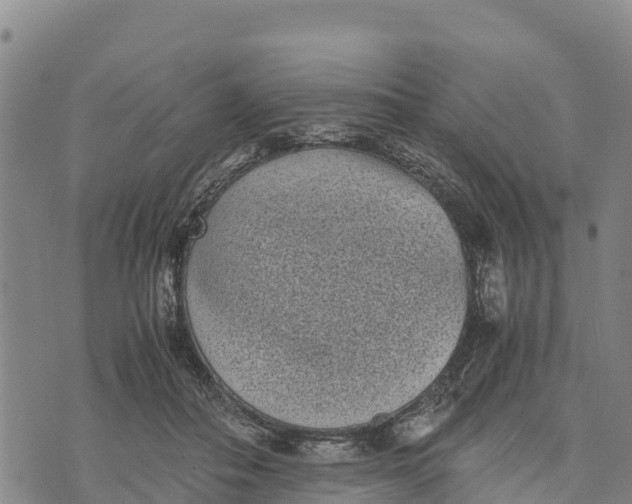 X0000072530506200608041600