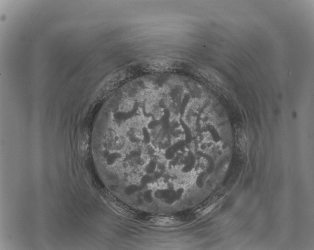 X0000072530507200608041600