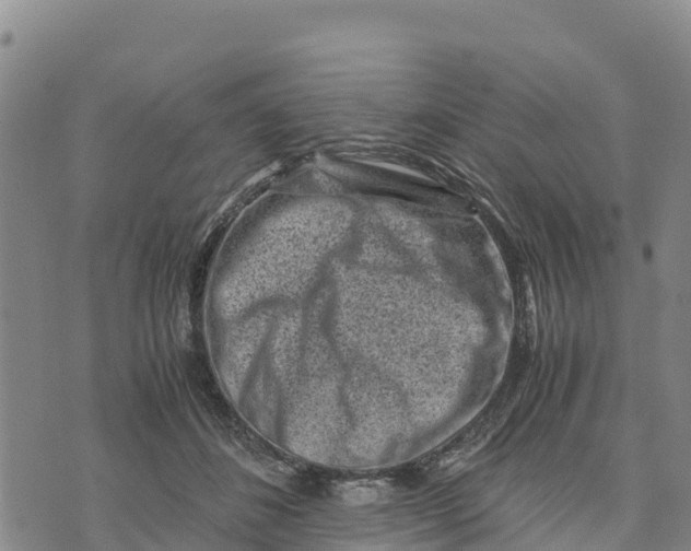 X0000072530508200608041600