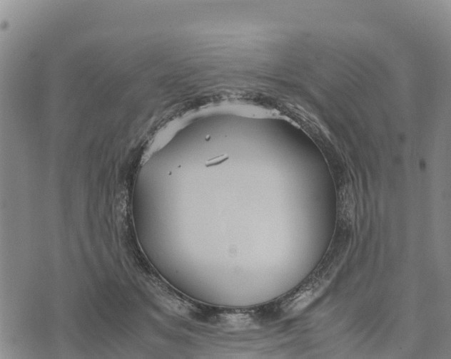 X0000072530509200608041600