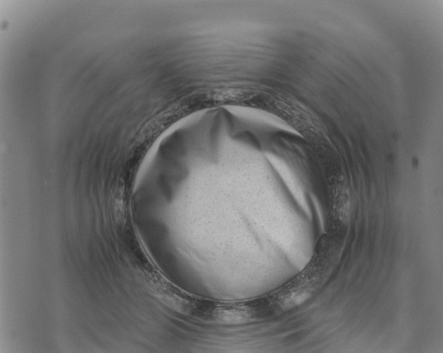 X0000072530510200608041600