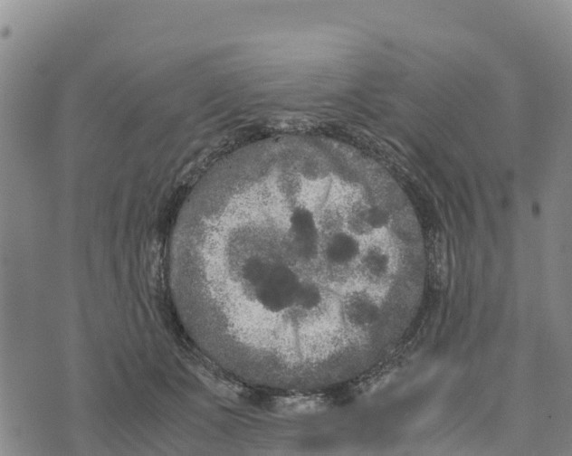 X0000072530511200608041600