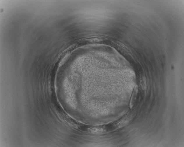 X0000072530512200608041600