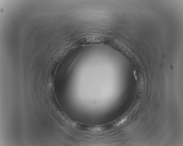 X0000072530513200608041600