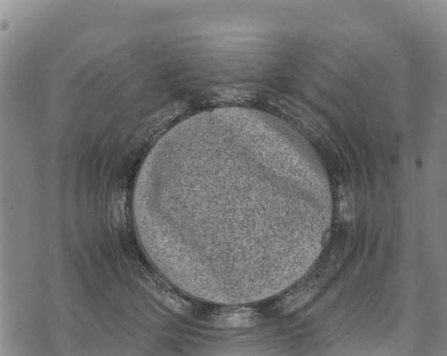 X0000072530514200608041600