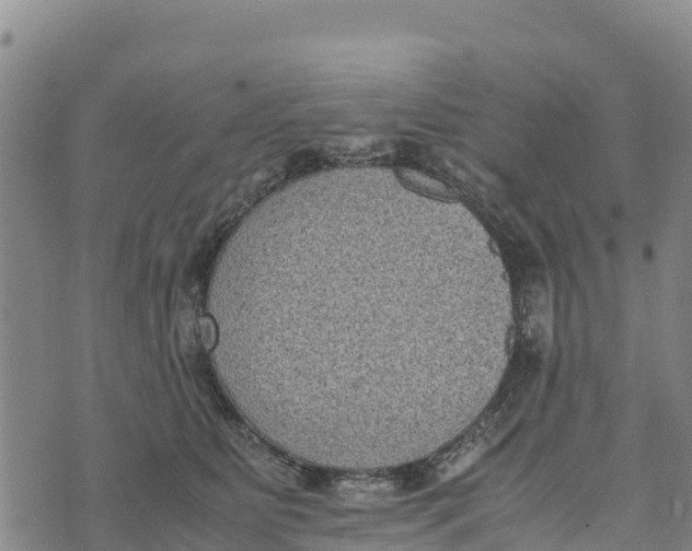 X0000072530515200608041600