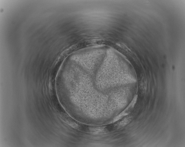 X0000072530516200608041600