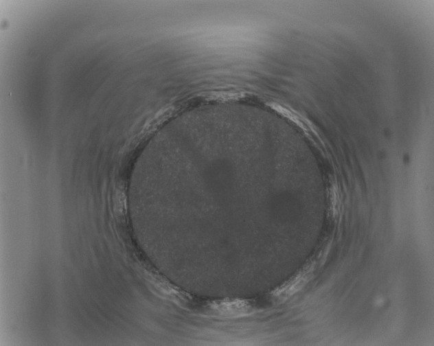 X0000072530517200608041600