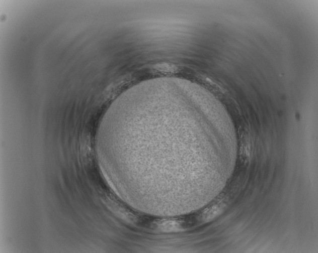 X0000072530518200608041600