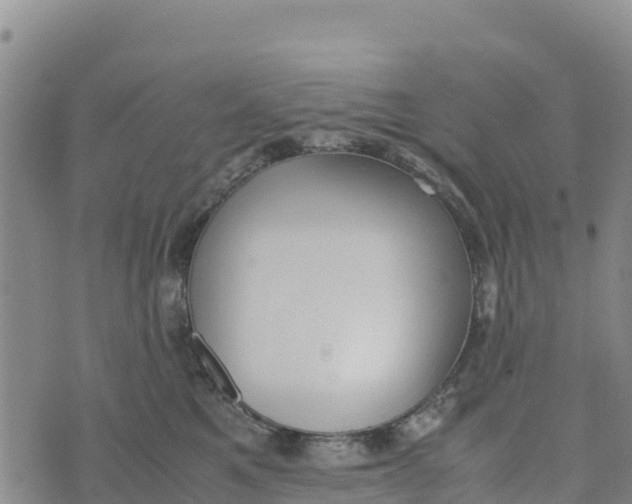 X0000072530521200608041600