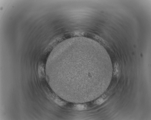 X0000072530522200608041600