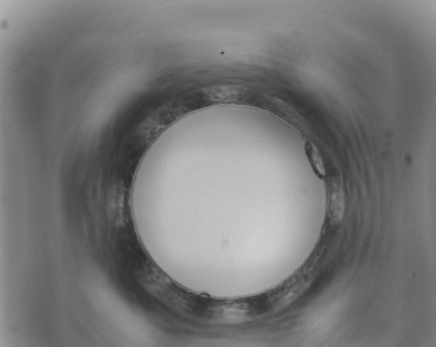 X0000072530525200608041600