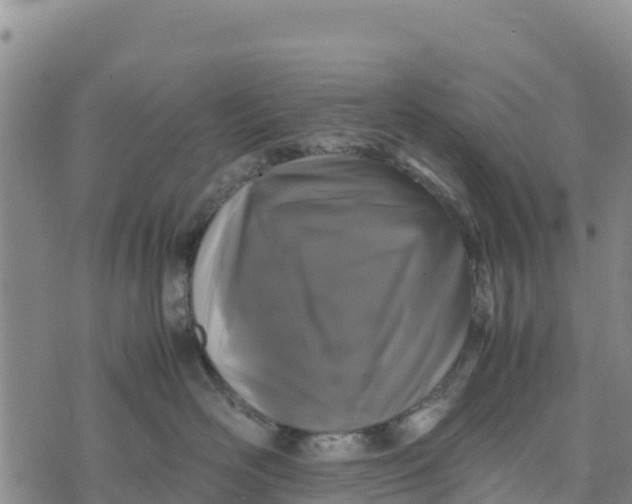 X0000072530526200608041600