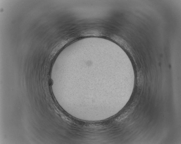 X0000072530529200608041559