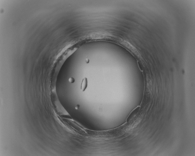 X0000072530530200608041559