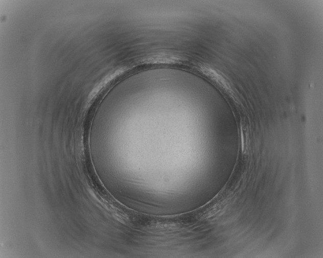 X0000072530531200608041559