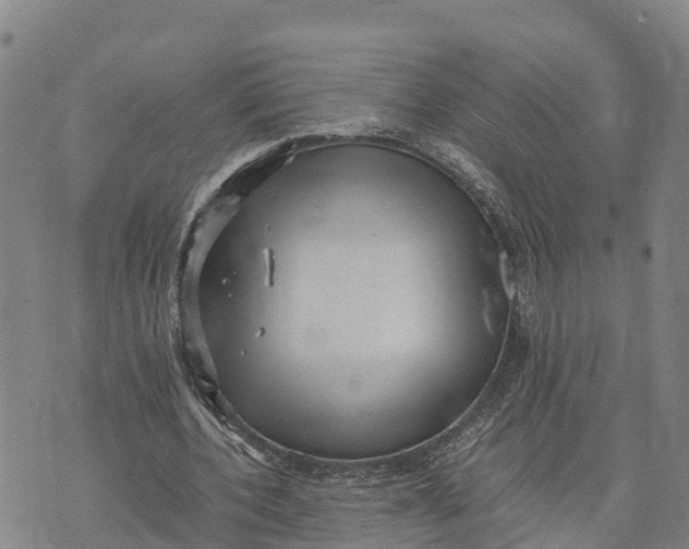 X0000072530532200608041559