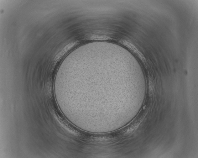 X0000072530533200608041559