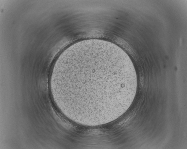 X0000072530534200608041559