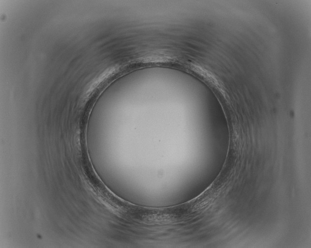 X0000072530535200608041559