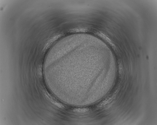 X0000072530537200608041559