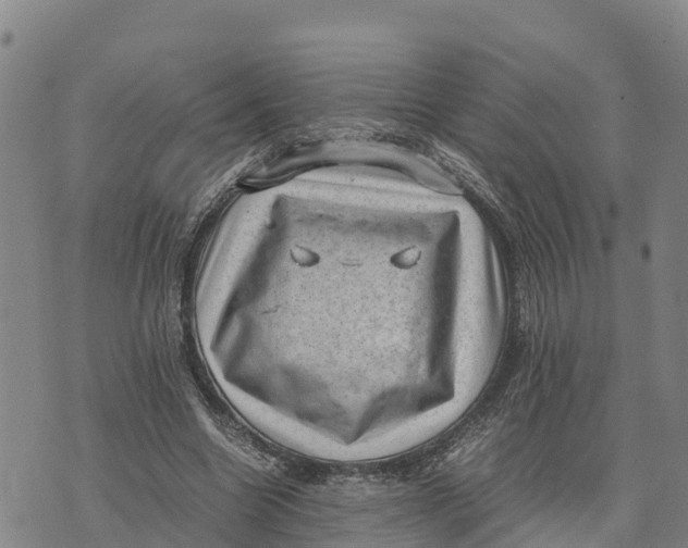 X0000072530538200608041559