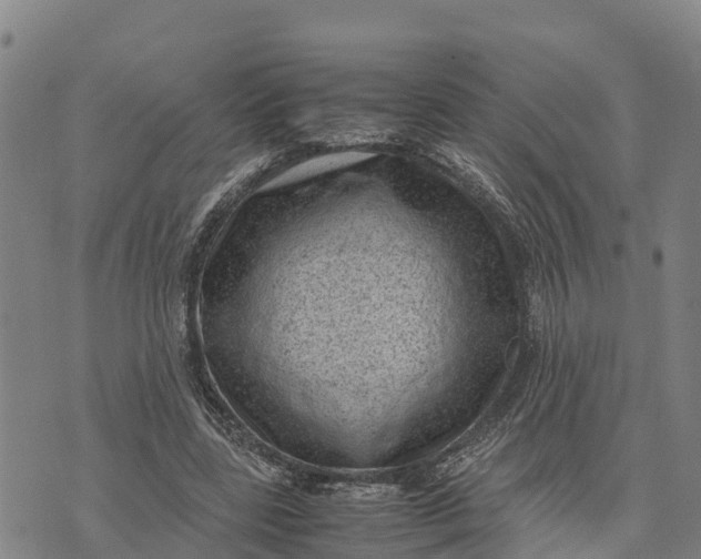 X0000072530539200608041559