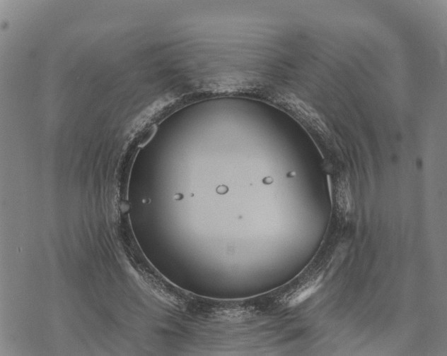 X0000072530540200608041559