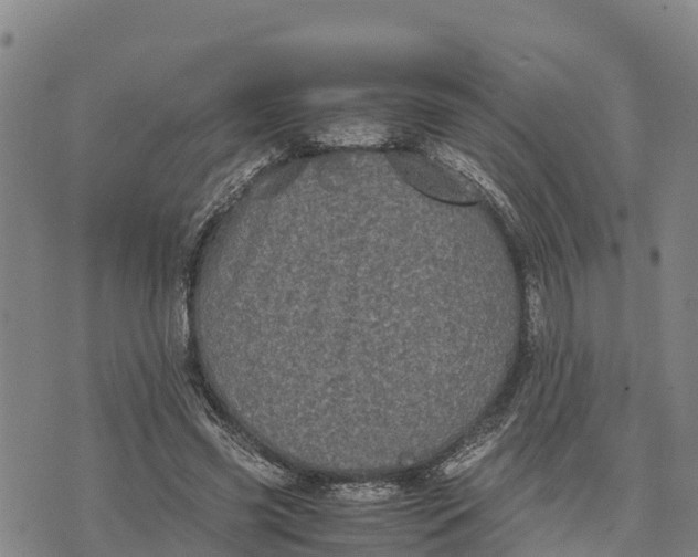 X0000072530541200608041559