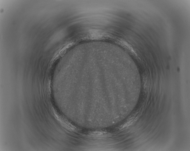 X0000072530542200608041559