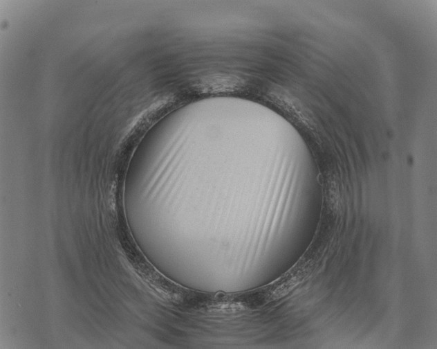 X0000072530543200608041559