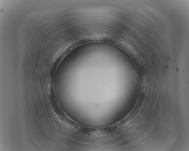 X0000072530544200608041559