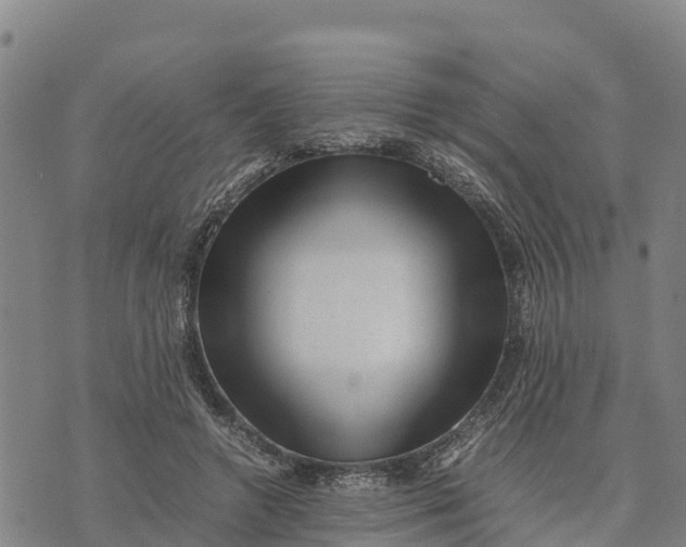 X0000072530546200608041600