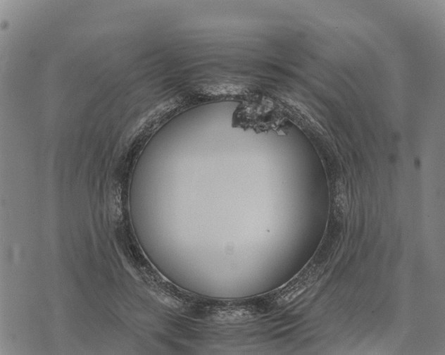 X0000072530547200608041600