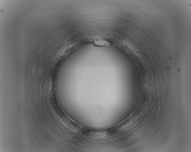 X0000072530548200608041600