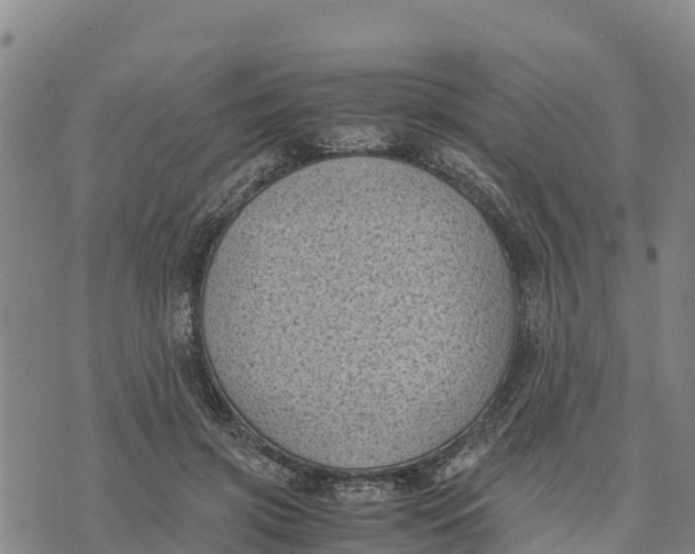 X0000072530549200608041600