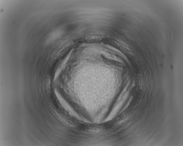 X0000072530550200608041600