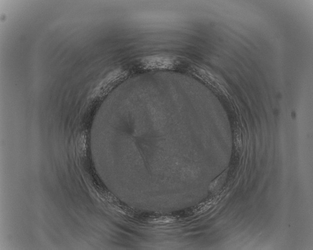 X0000072530551200608041600