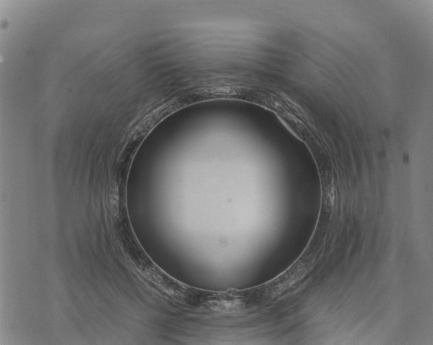 X0000072530552200608041600