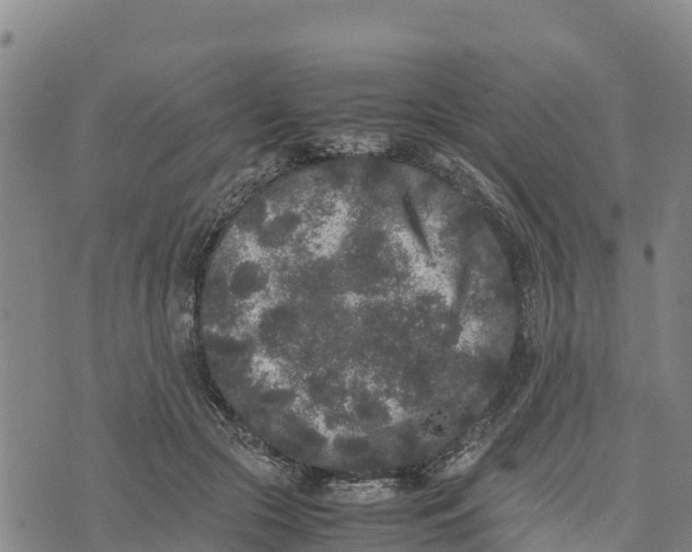 X0000072530553200608041600