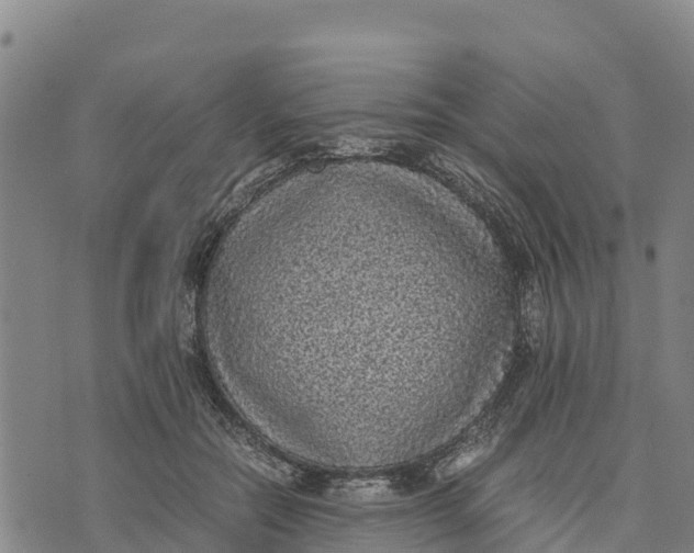 X0000072530554200608041600