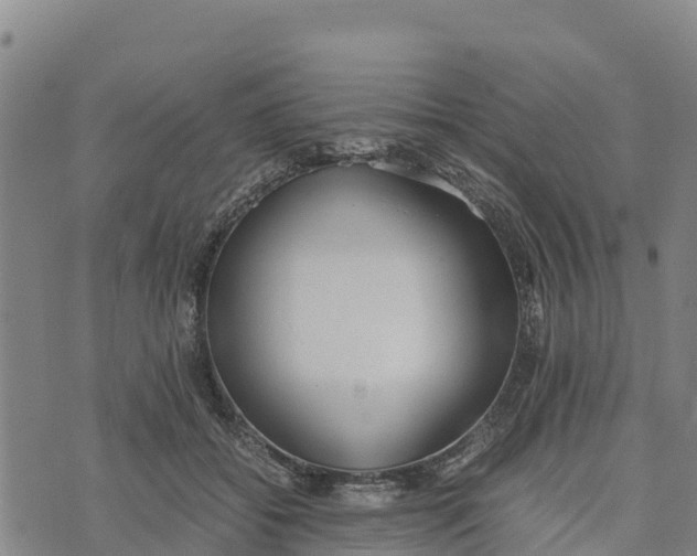 X0000072530556200608041600