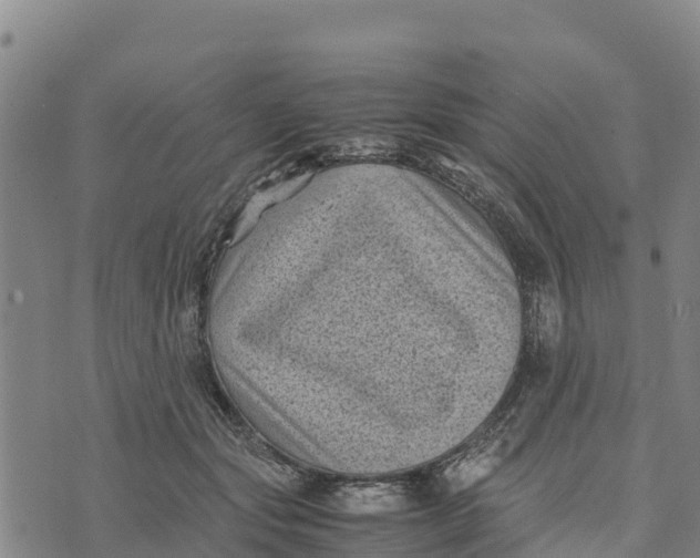 X0000072530557200608041600