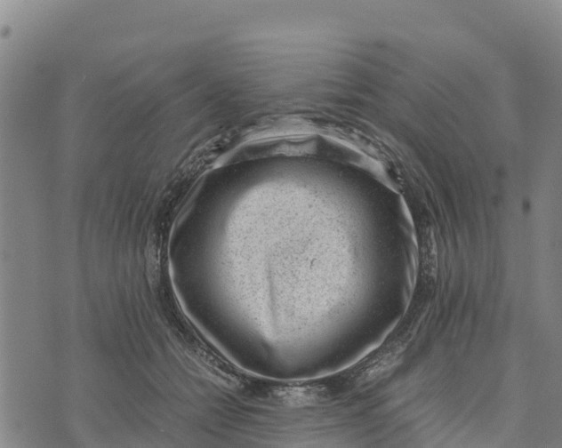 X0000072530558200608041600