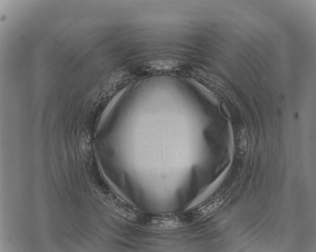 X0000072530559200608041600