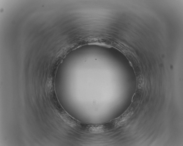 X0000072530560200608041600