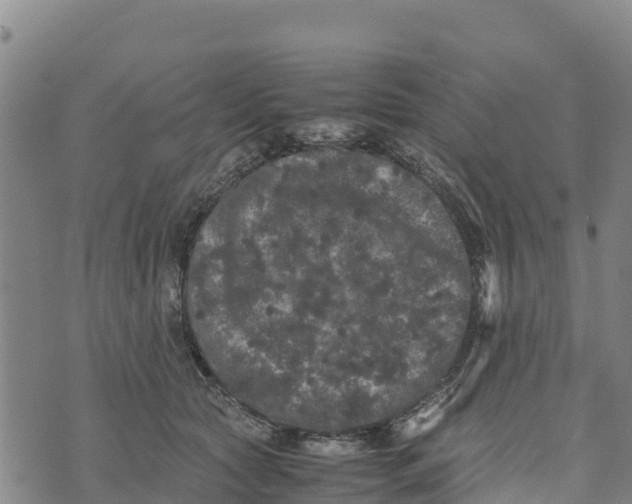 X0000072530561200608041600